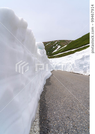 [初夏素材]乘鞍高原的雪牆[長野縣] 99467914