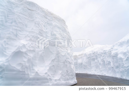 [初夏素材]乘鞍高原的雪牆[長野縣] 99467915