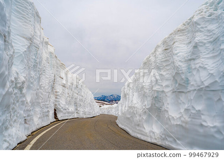 [初夏素材]乘鞍高原的雪牆[長野縣] 99467929