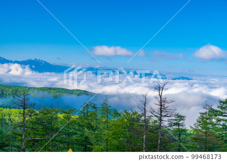 [Sea of clouds material] Sea of clouds and blue sky seen from highlands in early summer [Nagano Prefecture] 99468173