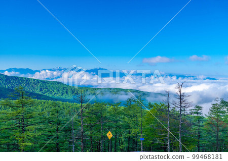 [Sea of clouds material] Sea of clouds and blue sky seen from highlands in early summer [Nagano Prefecture] 99468181