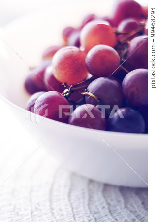 Food and agriculture, ripe dark grapes from organic fruit garden. 99468293