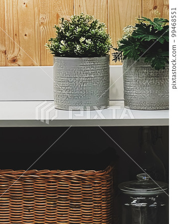 Home decor and interior design, decorative green house plants, furniture and decoration details Home decor and interior design, decorative green house plants, furniture and decoration details 99468551