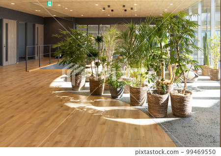 有許多觀葉植物的設計師辦公室 99469550