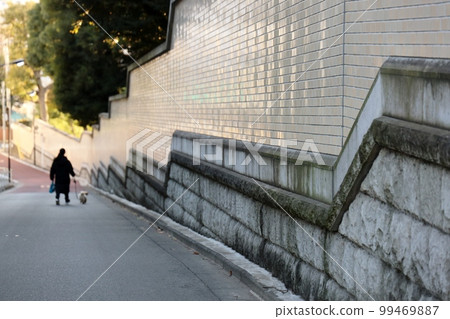 A lady and a dog descending Tsunazaka 99469887