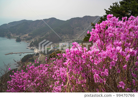 Sarangdo Saryang-myeon Tongyeong-si Gyeongnam Sarangdo Saryang-myeon Tongyeong-si Gyeongnam 99470766