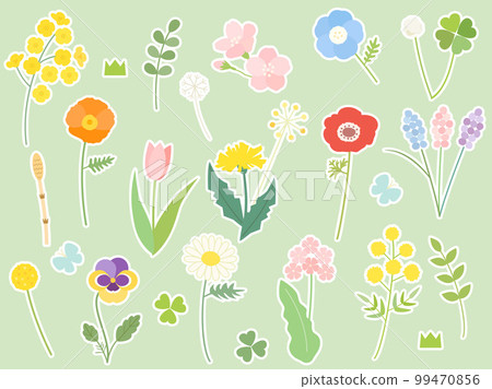 Illustration set of spring flowers such as rape blossoms, cherry blossoms, and mimosa (white border version) Illustration set of spring flowers such as rape blossoms, cherry blossoms, and mimosa (white border version) 99470856