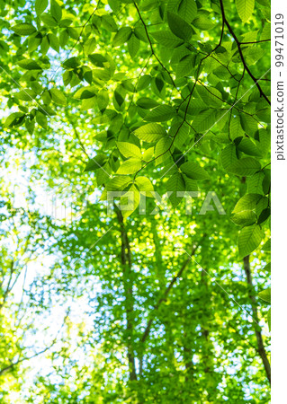 Fresh green and eco image 99471019