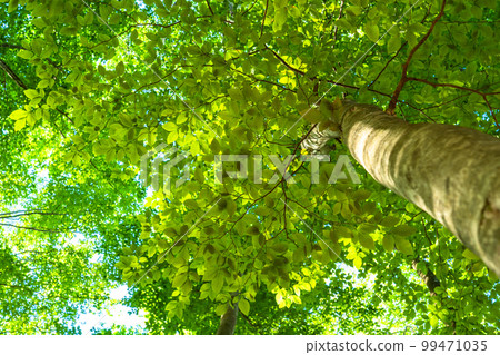 Fresh green and eco image 99471035