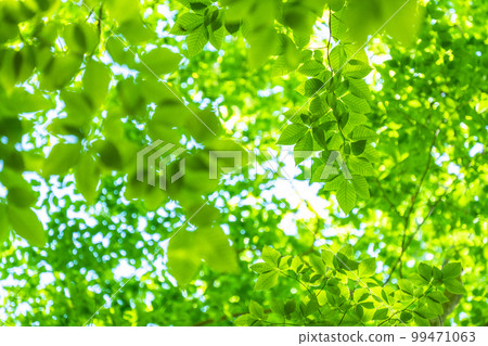 Fresh green and eco image 99471063