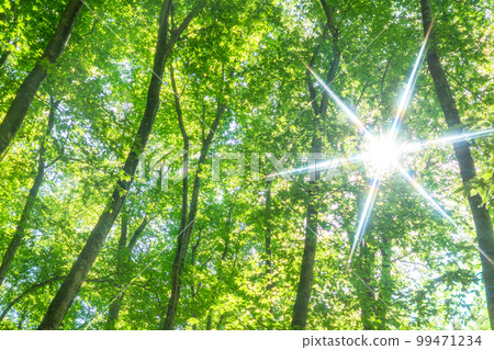 Fresh green and eco image Fresh green and eco image 99471234