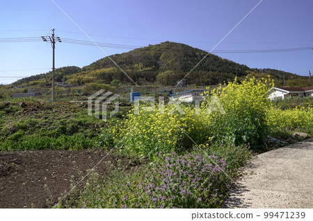 慶南巨濟市漣草面大金山 慶南巨濟市漣草面大金山 99471239