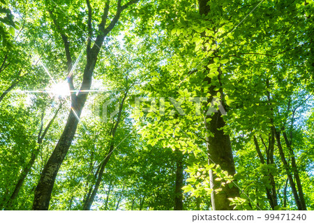 Fresh green and eco image Fresh green and eco image 99471240