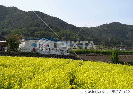 Cheongsan-do Cheongsan-myeon Wando-gun 全南 Cheongsan-do Cheongsan-myeon Wando-gun 全南 99471540