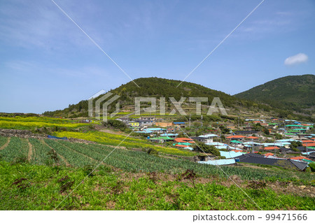 Cheongsan-do Cheongsan-myeon Wando-gun 全南 Cheongsan-do Cheongsan-myeon Wando-gun 全南 99471566