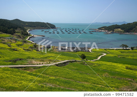 Cheongsan-do Cheongsan-myeon Wando-gun 全南 99471582