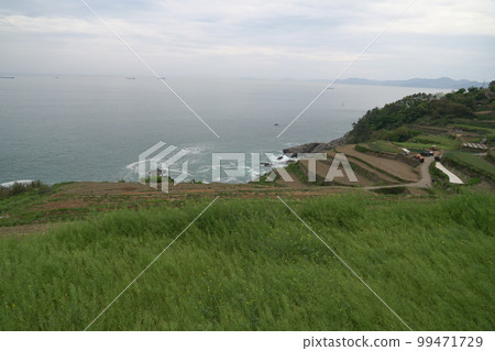 Seolheulsan Daraenginon Nam-myeon 南海郡 慶南 99471729