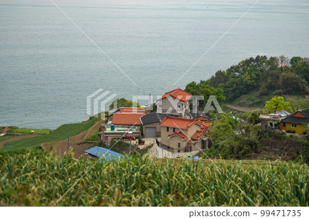 Seolheulsan Daraenginon Nam-myeon 南海郡 慶南 99471735