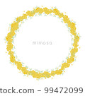 Mimosa (acacia) wreath illustration 99472099