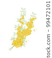 Simple vector illustration of mimosa (acacia) 99472101
