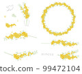 Mimosa (acacia) vector illustration design parts set (frame, flower, leaf) 99472104