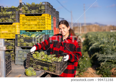 Woman stacking boxes with artichokes Woman stacking boxes with artichokes 99472288
