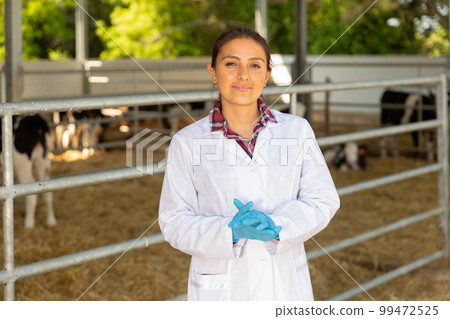 Female veterinarian standing near stall with calves Female veterinarian standing near stall with calves 99472525