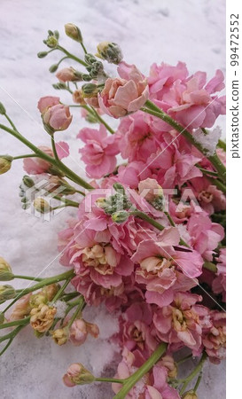雙花股票 雙花股票 99472552