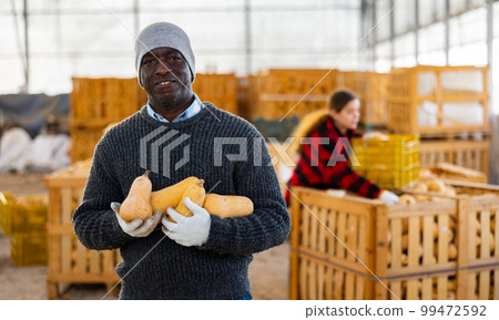 Male farmer posing with pumpkins Male farmer posing with pumpkins 99472592