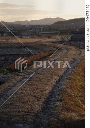 農場路 農場路 99473462