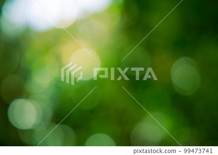 綠球散景紋理 綠球散景紋理 99473741