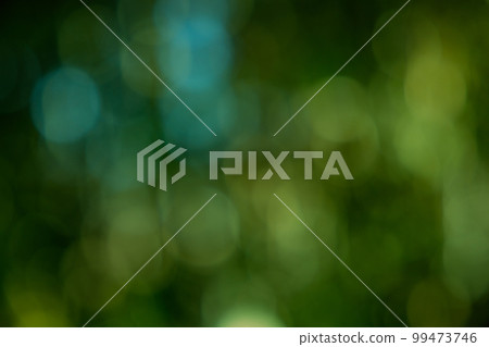 綠球散景紋理 綠球散景紋理 99473746