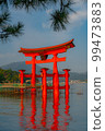 Otorii of Itsukushima Shrine just after the major renovation 99473883