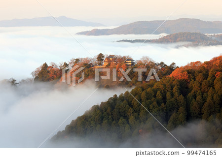 Castle in the Sky 7283 Castle in the Sky 7283 99474165