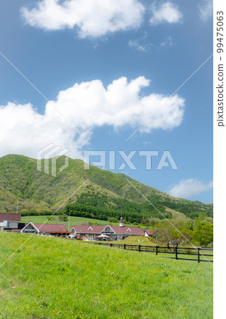 Image of early summer and fresh green of Hiruzen Plateau Image of early summer and fresh green of Hiruzen Plateau 99475063