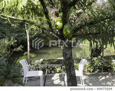 Tropical landscaping in home garden Tropical landscaping in home garden 99475094