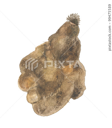 Daijo large yam 99475589