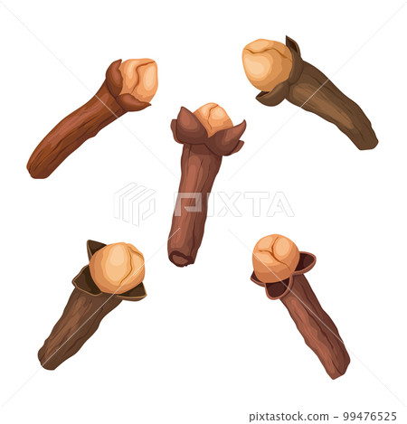 clove spice food set cartoon vector illustration clove spice food set cartoon vector illustration 99476525