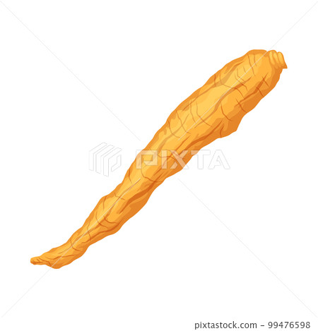 ginseng root medicine cartoon vector illustration ginseng root medicine cartoon vector illustration 99476598