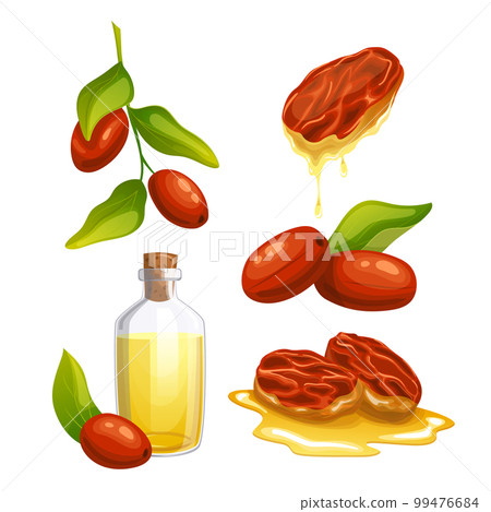 jojoba natural oil set cartoon vector illustration 99476684