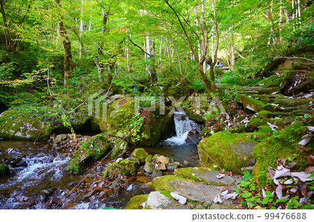 岐阜縣高山市上江十重八瀑布澀溪谷 99476688