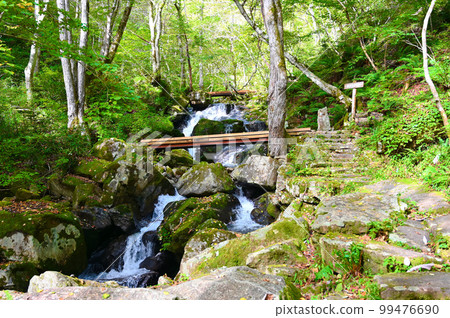Utsue Shijuhachi Waterfall Shibuki Valley Takayama City, Gifu Prefecture 99476690