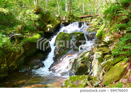 Utsue Shijuhachidaki Waterfall Uogae Falls 岐阜縣高山市 Utsue Shijuhachidaki Waterfall Uogae Falls 岐阜縣高山市 99476693