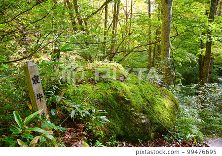 Utsue Shijuhachi Waterfall Negyuiwa Rock Takayama City, Gifu Prefecture Utsue Shijuhachi Waterfall Negyuiwa Rock Takayama City, Gifu Prefecture 99476695