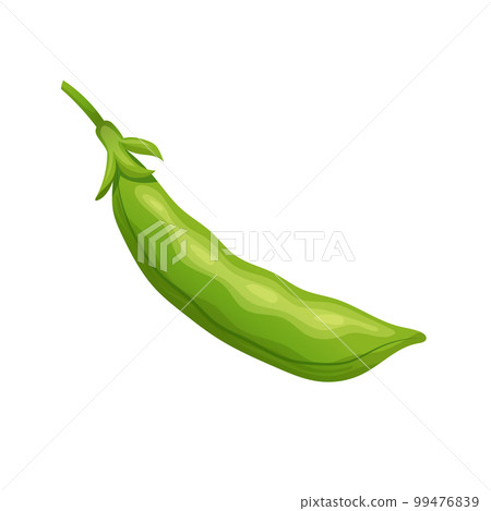 green pea food cartoon vector illustration 99476839