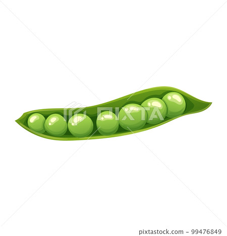 green pea food cartoon vector illustration 99476849