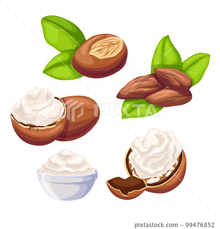 shea beauty butter set cartoon vector illustration shea beauty butter set cartoon vector illustration 99476852