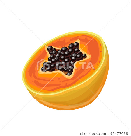 papaya cut cartoon vector illustration papaya cut cartoon vector illustration 99477088