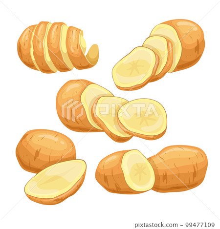 potato vegetable food set cartoon vector illustration potato vegetable food set cartoon vector illustration 99477109