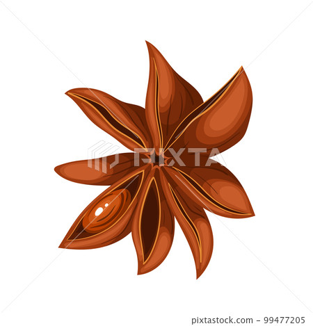anise brown dry cartoon vector illustration 99477205